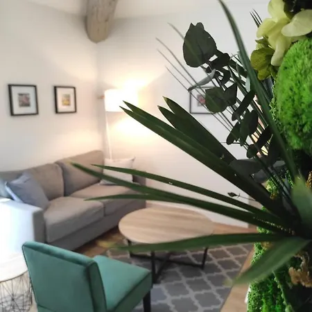 L'exception Apartamento Nîmes